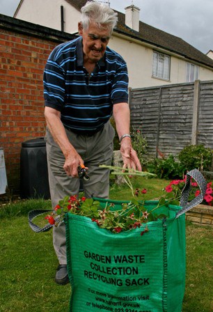 Many councils offer both bag and bin collections of green waste